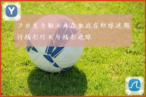 沙尔克与勒沃库森激战在即球迷期待精彩对决与精彩进球