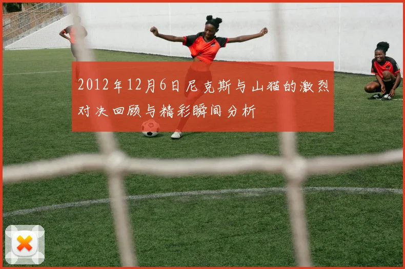 2012年12月6日尼克斯与山猫的激烈对决回顾与精彩瞬间分析