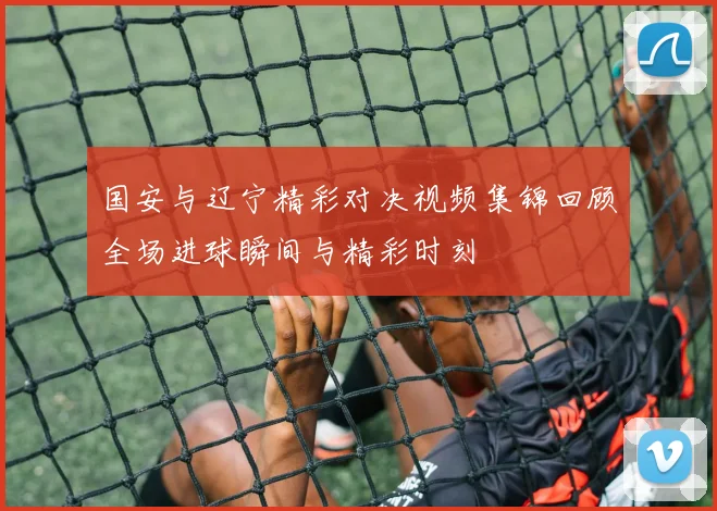 国安与辽宁精彩对决视频集锦回顾全场进球瞬间与精彩时刻