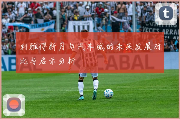 利雅得新月与汽车城的未来发展对比与启示分析