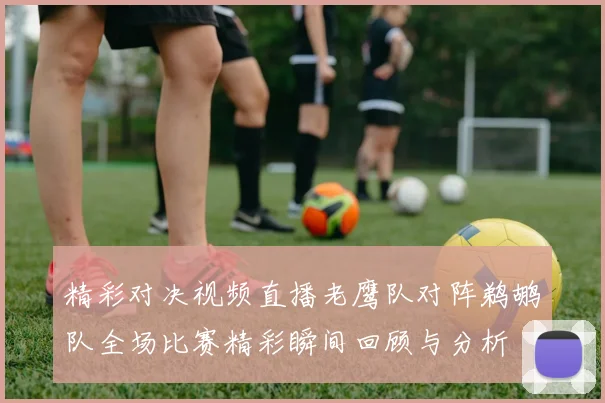 精彩对决视频直播老鹰队对阵鹈鹕队全场比赛精彩瞬间回顾与分析