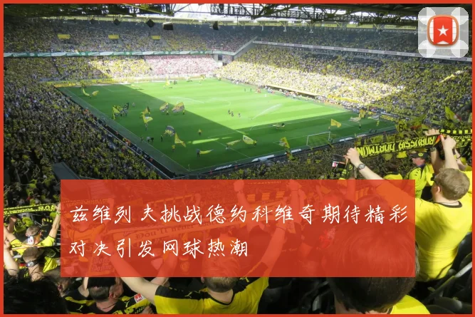 兹维列夫挑战德约科维奇期待精彩对决引发网球热潮