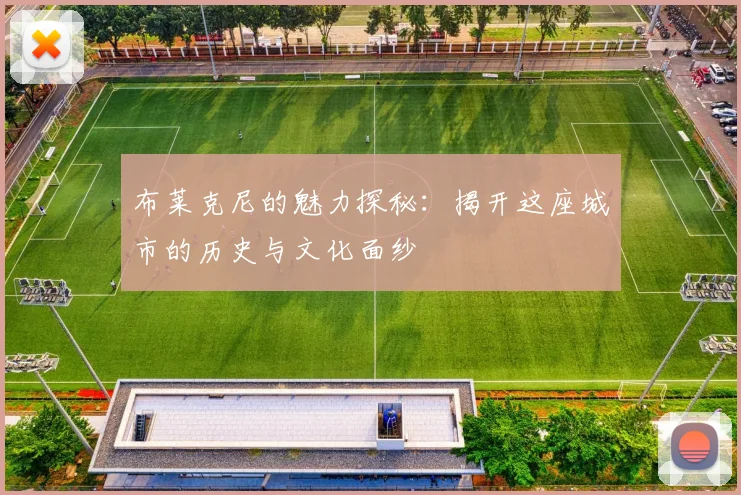 布莱克尼的魅力探秘：揭开这座城市的历史与文化面纱